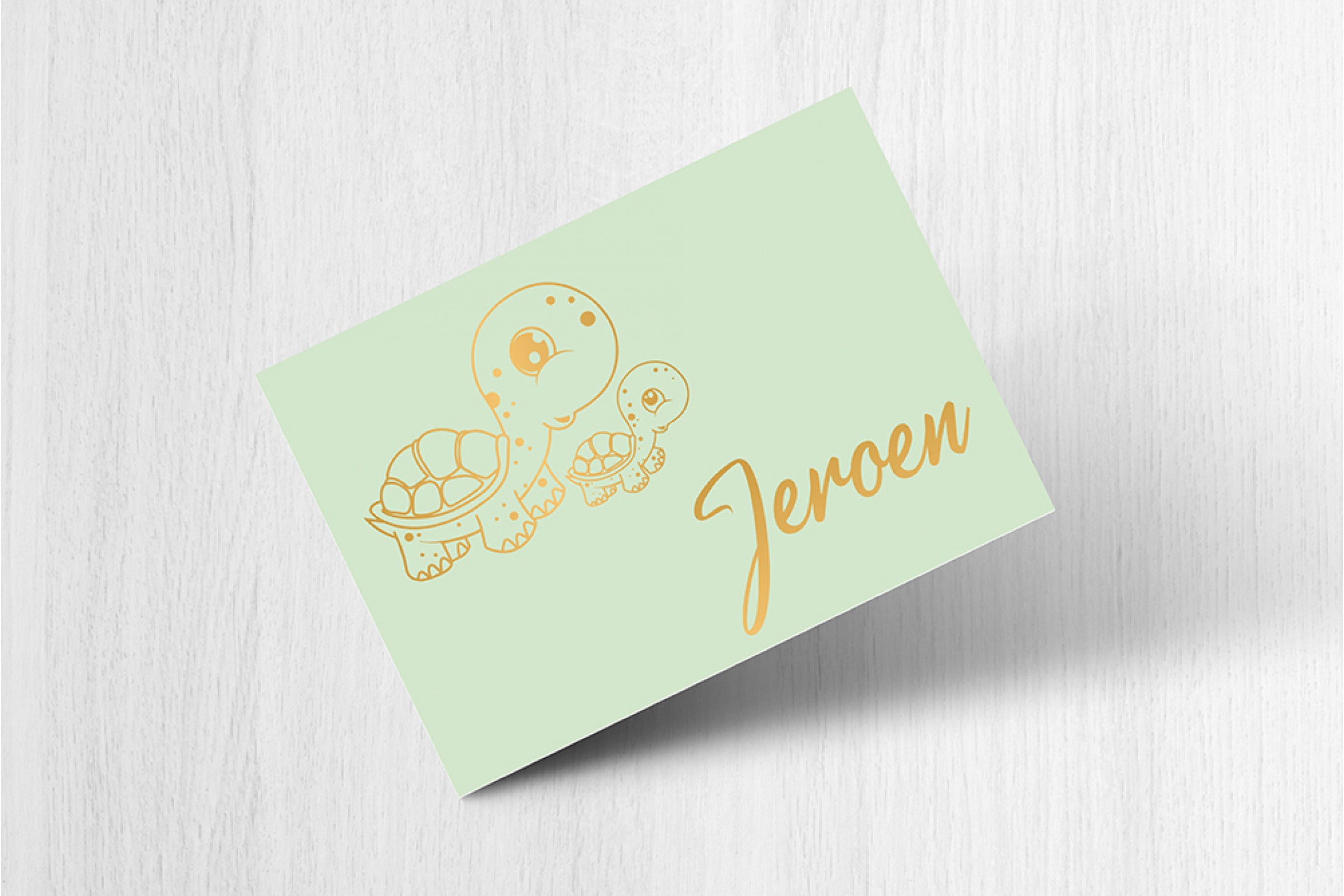 Twee schildpadjes